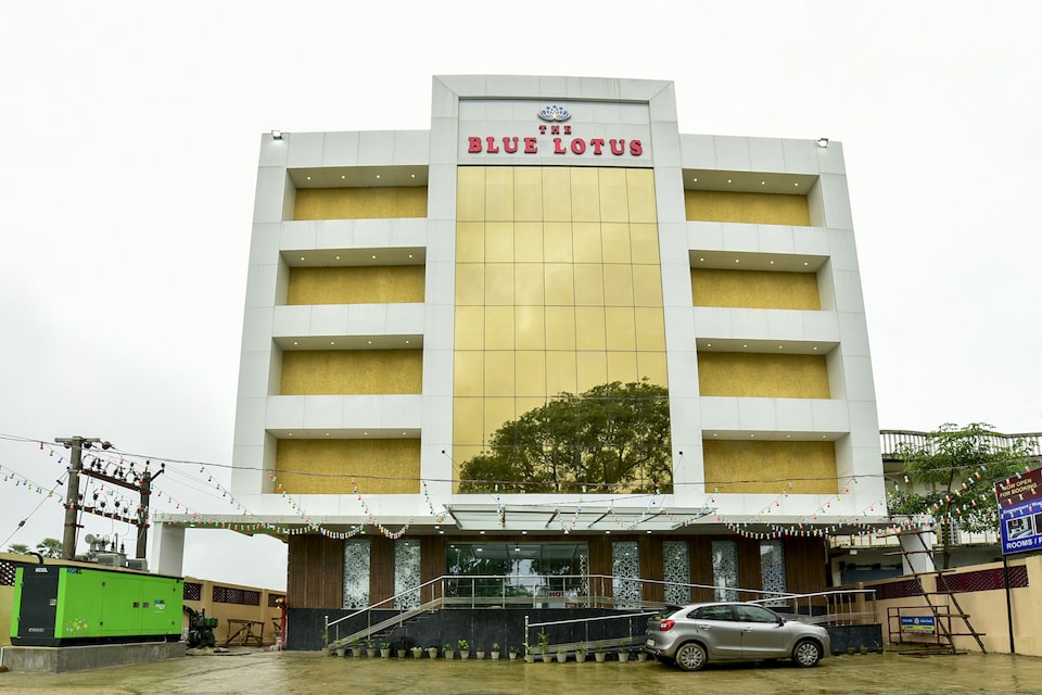 Collection  O 81940 The Blue Lotus, Muzaffarpur, Muzaffarpur