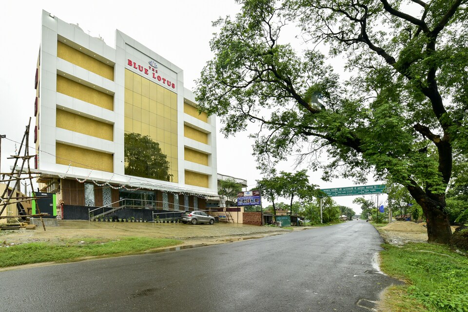 Collection  O 81940 The Blue Lotus, Muzaffarpur, Muzaffarpur