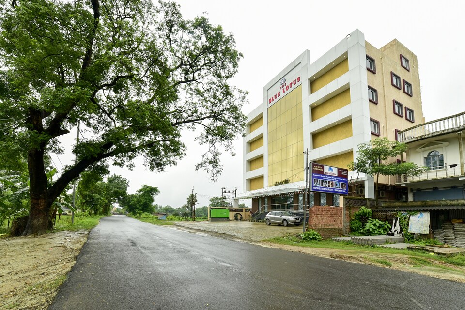 Collection  O 81940 The Blue Lotus, Muzaffarpur, Muzaffarpur