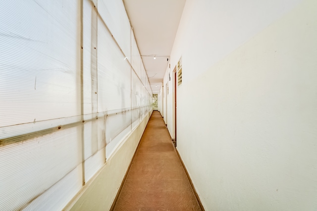 Super Collection O Bannergatta Road Near Decathlon