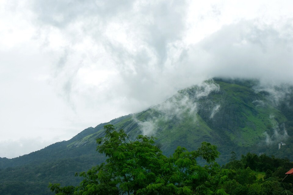 OYO 6870 Venus Holiday Resorts, Anachal, Munnar