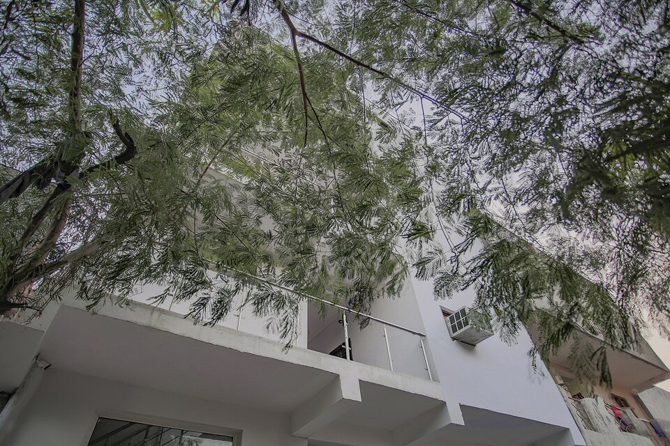 Collection O 83226 Kl Residency, Noida City, Noida