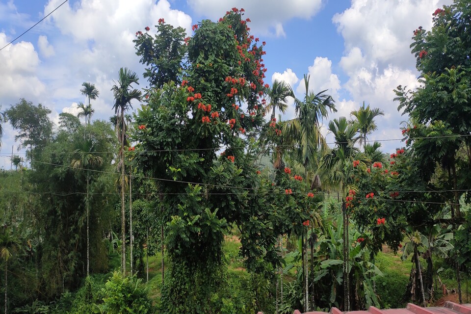 OYO HOME 83312 Aiswarya Homestay, Mananthavady, Wayanad