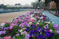 OYO Valley View Apartments Near Birla Mandir