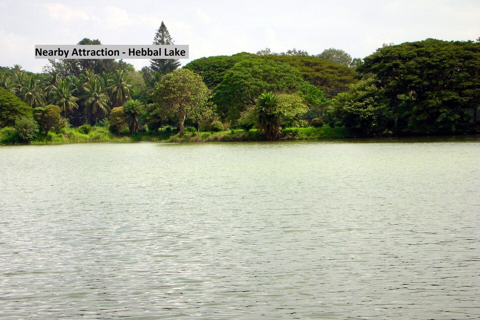 Capital O Udupi Park Inn Near Hare Krishna Hill, Yeshwantupur Bangalore, Bangalore