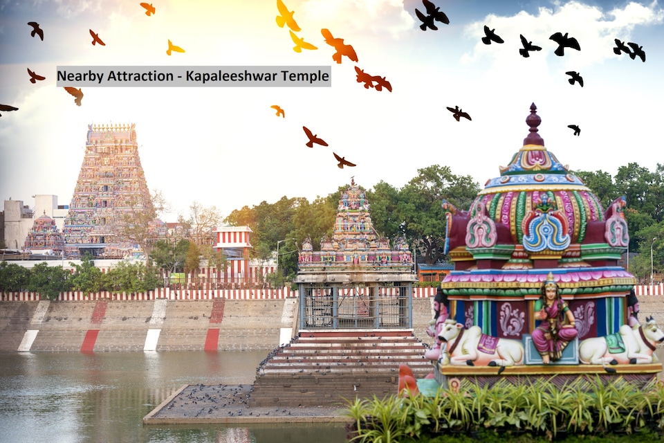 Flagship Syeds Inn Near Guindy National Park, T Nagar Chennai, Chennai