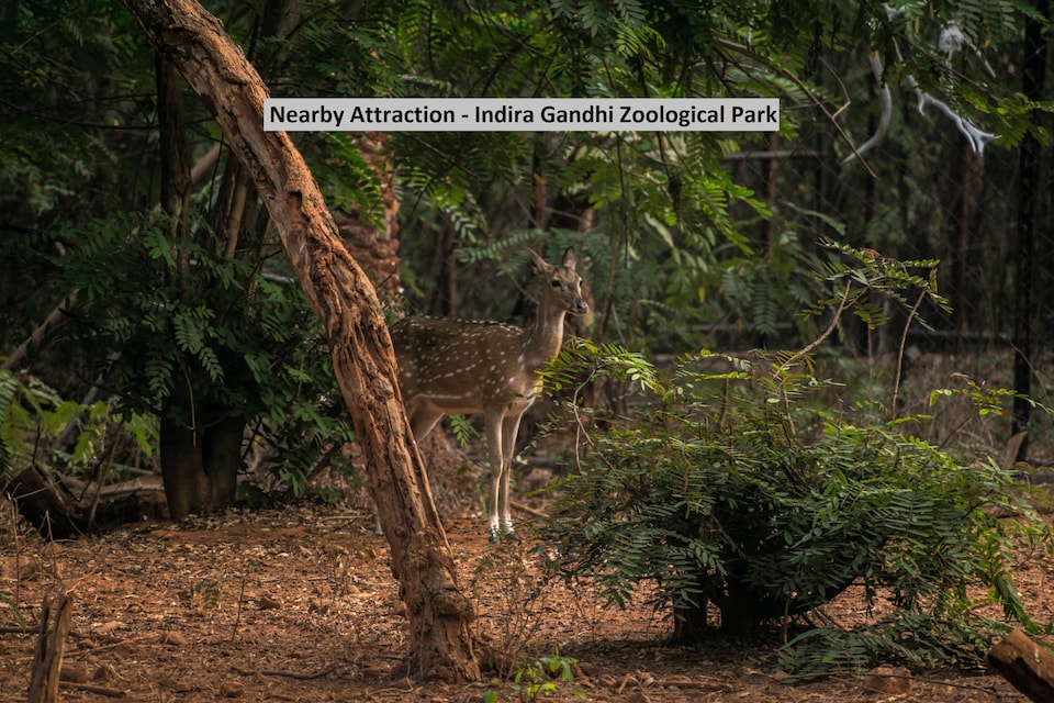 OYO 8671 Sri Krishna Residency, MVP Colony Visakhapatnam, Visakhapatnam