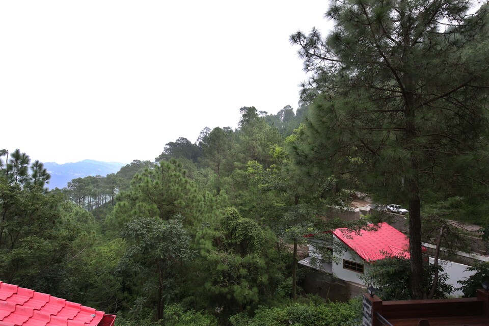OYO Home 9308 Valley View Studios, Kasauli, Kasauli