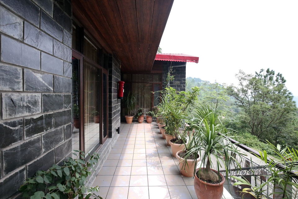 OYO Home 9308 Valley View Studios, Kasauli, Kasauli