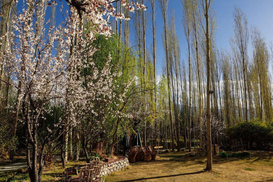 Palette - Eco Poplar Villa & Resort, Fort Road, Leh-Ladakh