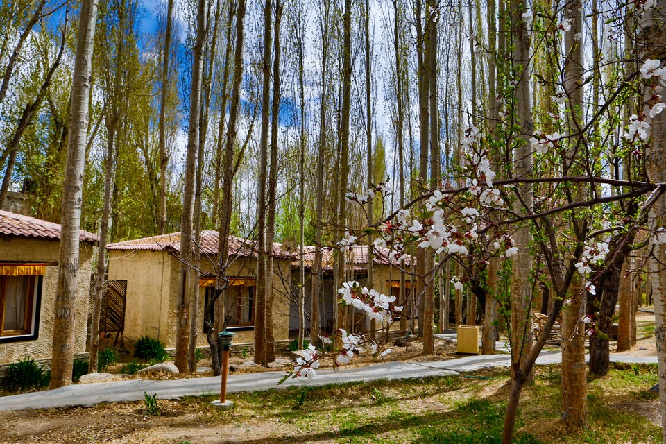 Palette - Eco Poplar Villa & Resort, Fort Road, Leh-Ladakh