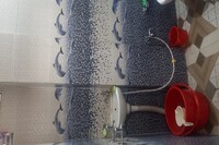 OYO Premji Guest House