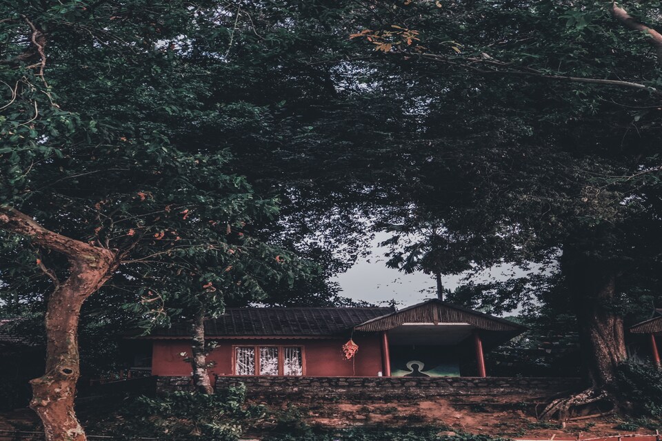 POP Pacha Mama Art Cafe, Ankamaly Airport Kochi, Kochi