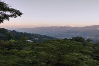 OYO Home Himalayan Forest Valley Home Stay