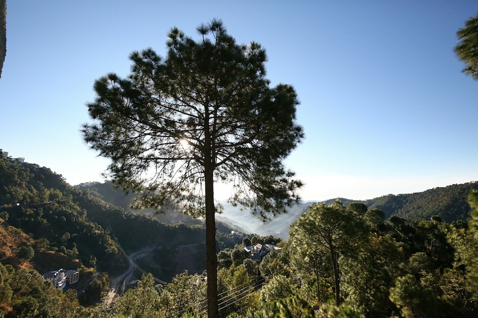 OYO Home 10976 Cheerful 2BHK Scenic Barog, Kasauli, Kasauli