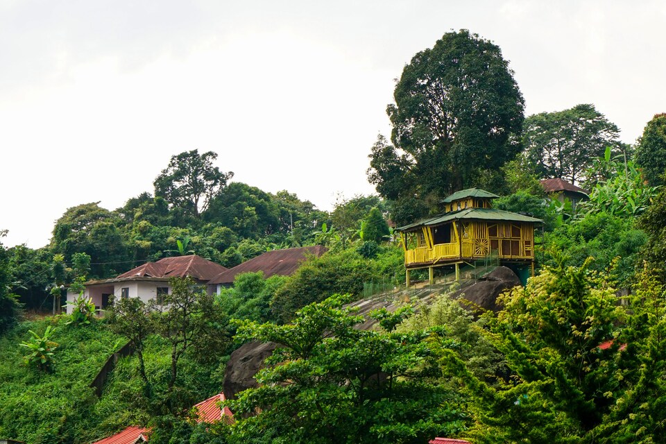 OYO 10262 Hotel Munnar Rock, Munnar City Munnar, Munnar