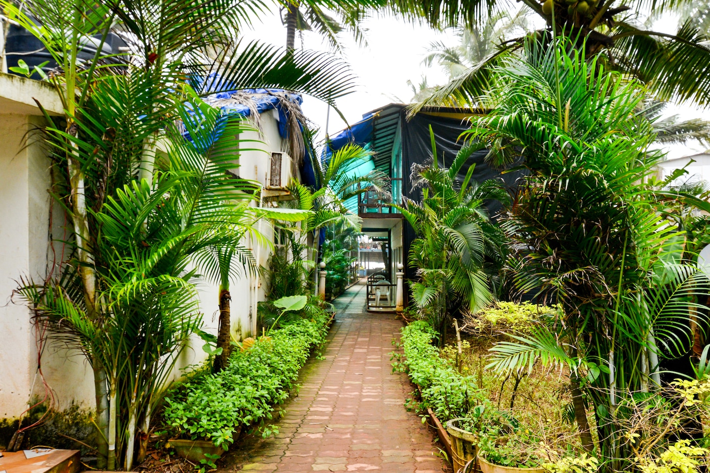 OYO 10143 Tahira Beach Resort Goa - Goa Hotel Reviews, Photos, Offers