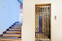 Collection O Pink House