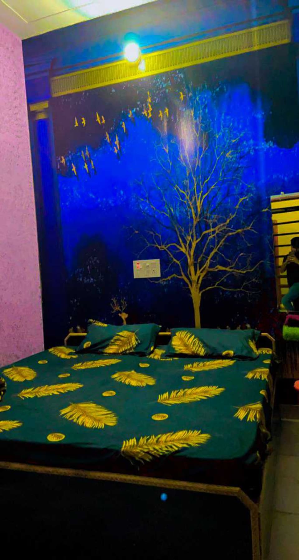 OYO Dream Guest House, Bhiwani, Bhiwani