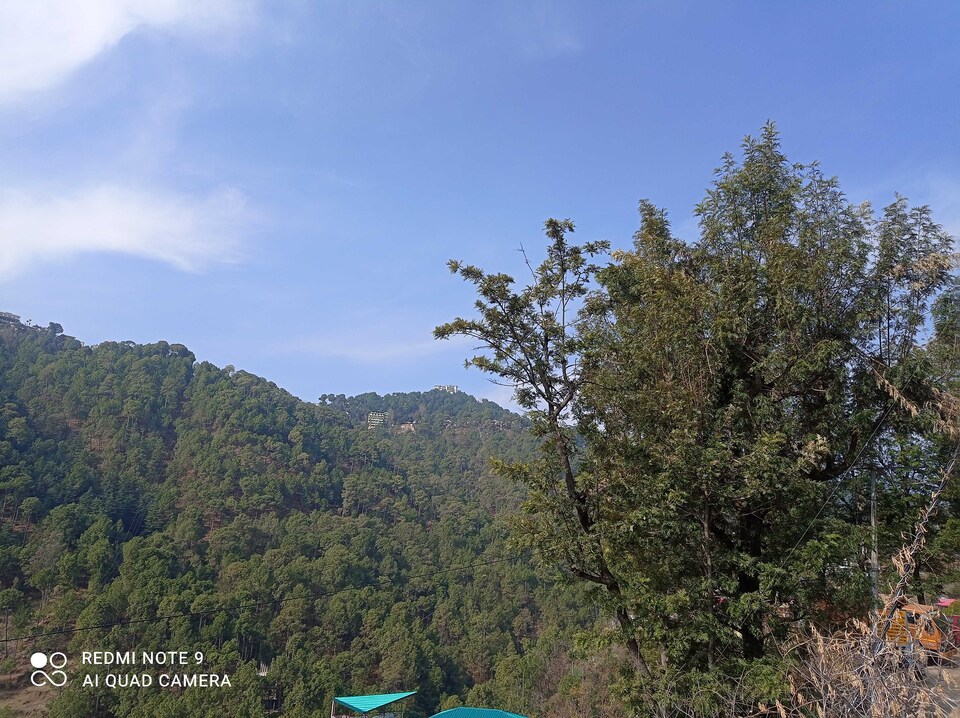 OYO 87251 Fifty Mile Stone Homestay, Solan, Solan