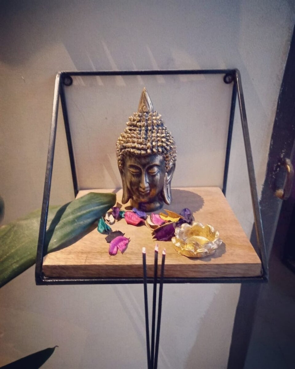 OYO Home Downtown Homestay, Alambagh Lucknow, Lucknow