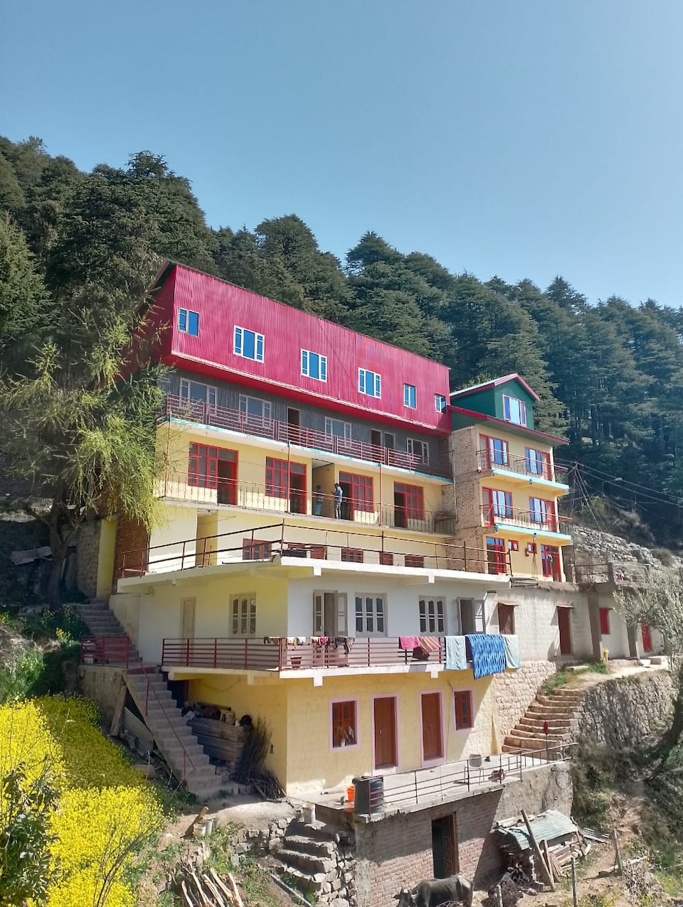 OYO Home Patnitop Hill Homestay, Patnitop, Patnitop