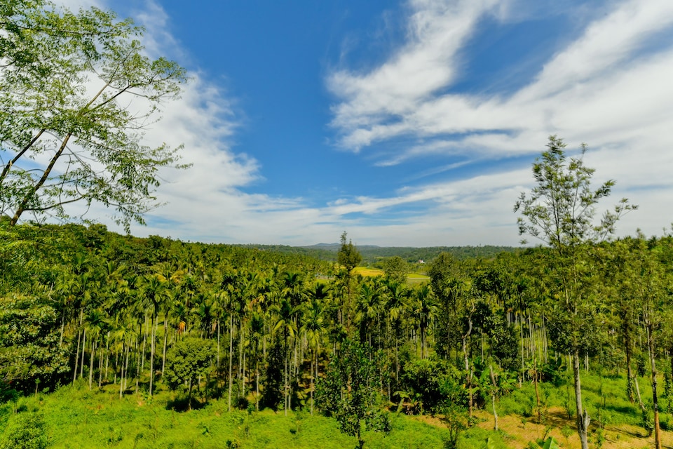OYO Sierra Vista Apartments, Sultan Bathery, Wayanad