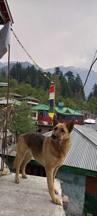 OYO Osiya Tashi Dolma Home Stay Bari