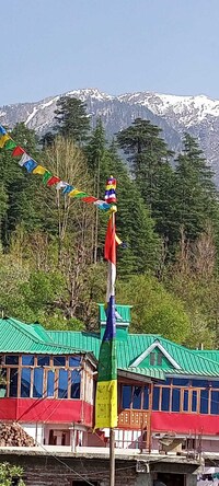 OYO Osiya Tashi Dolma Home Stay Bari