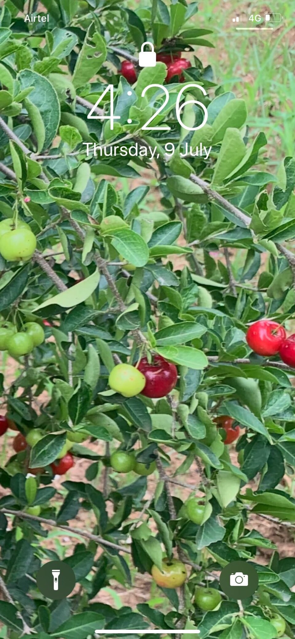 OYO HOME 89509 Savi Farm Home Satay, Doddaballapura-Bangalore, Doddaballapura