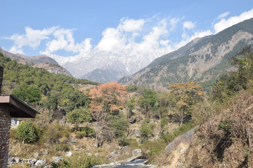 OYO 11503 Hotel Sunshine Dharamshala, Dharamshala, Dharamshala