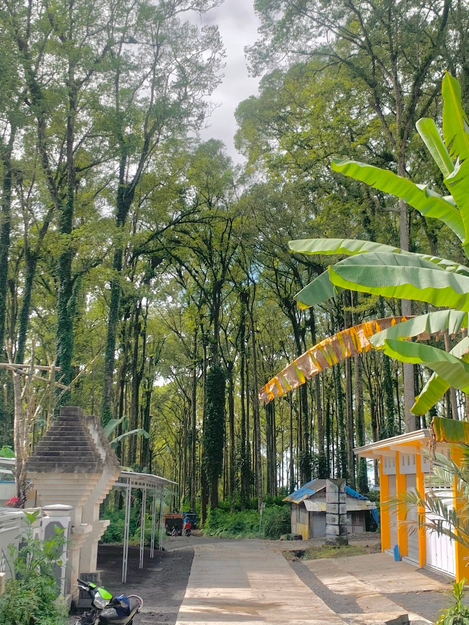 EXPRESS O 91370 Rumah Pemandangan Semeru Asli, Lumajang, Lumajang