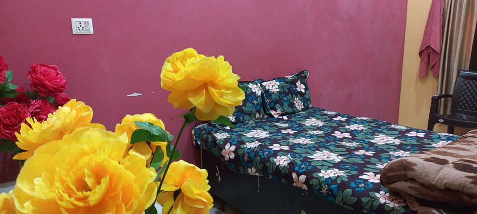 Live on LCK2370, Vikas Nagar Lucknow, Lucknow