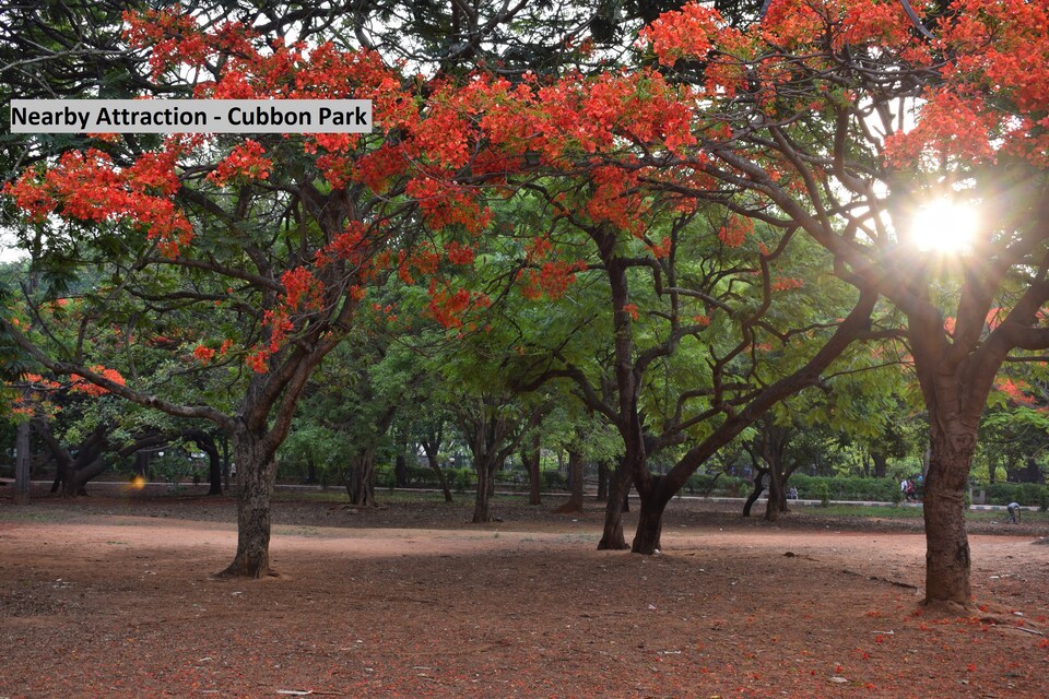 Capital O 11927 Varcity Imperium, Shivajinagar Bangalore, बैंगलोर