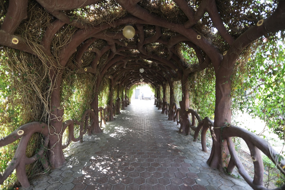 OYO 11975 Siddharth International, Jodhpur North, Jodhpur