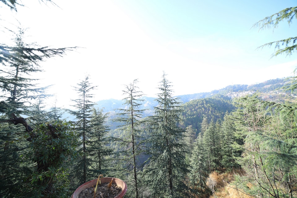 OYO Home 12125 Shimla Woods 3BHK, New Shimla, Shimla