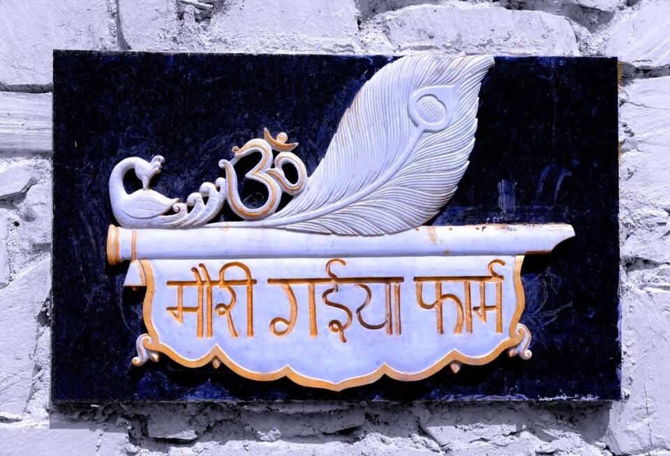 OYO Home 700593 Mg Farm Villa, Udaipur North, Udaipur