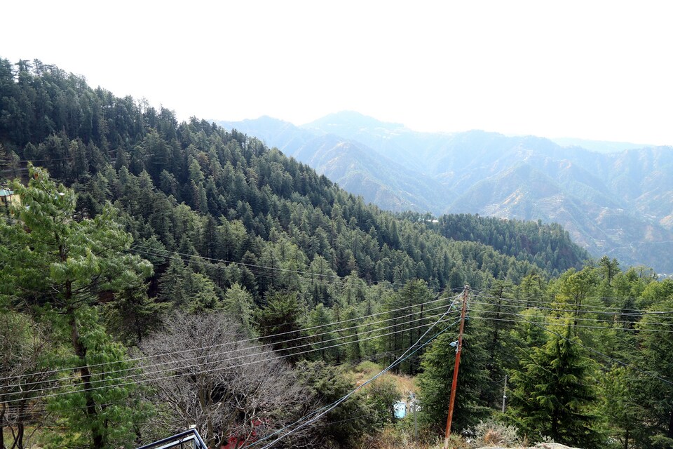 OYO Home 12195 2RK Moutain View, Mashobra-Naldera, Shimla