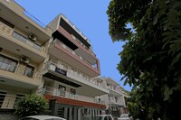 Collection O Daffodils