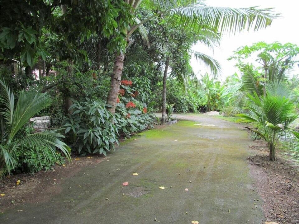 SPOT ON Nisarga De Farm, Alibaug, Alibag, Alibag