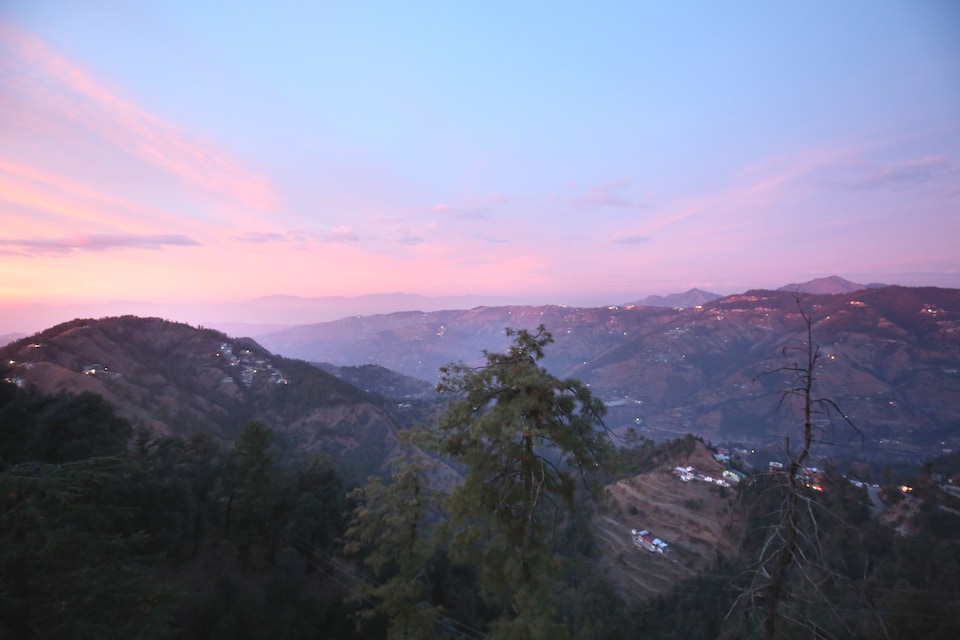 OYO Home 12223 Forest Pine View, Kasauli, Kasauli