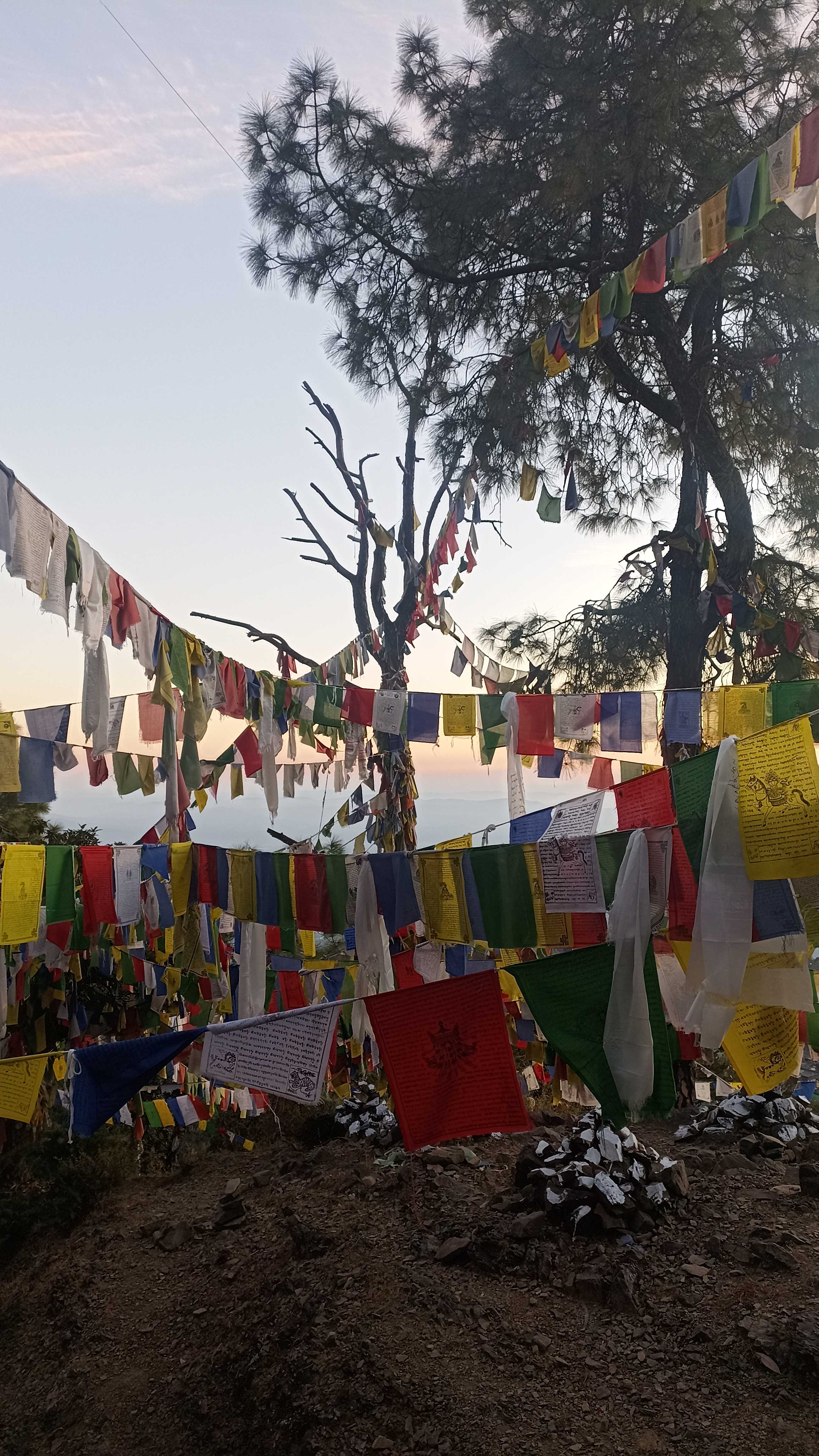 SPOT ON Ferns Camp, SPOT ON Mcleod-Ganj, Book @ ₹730 - OYO