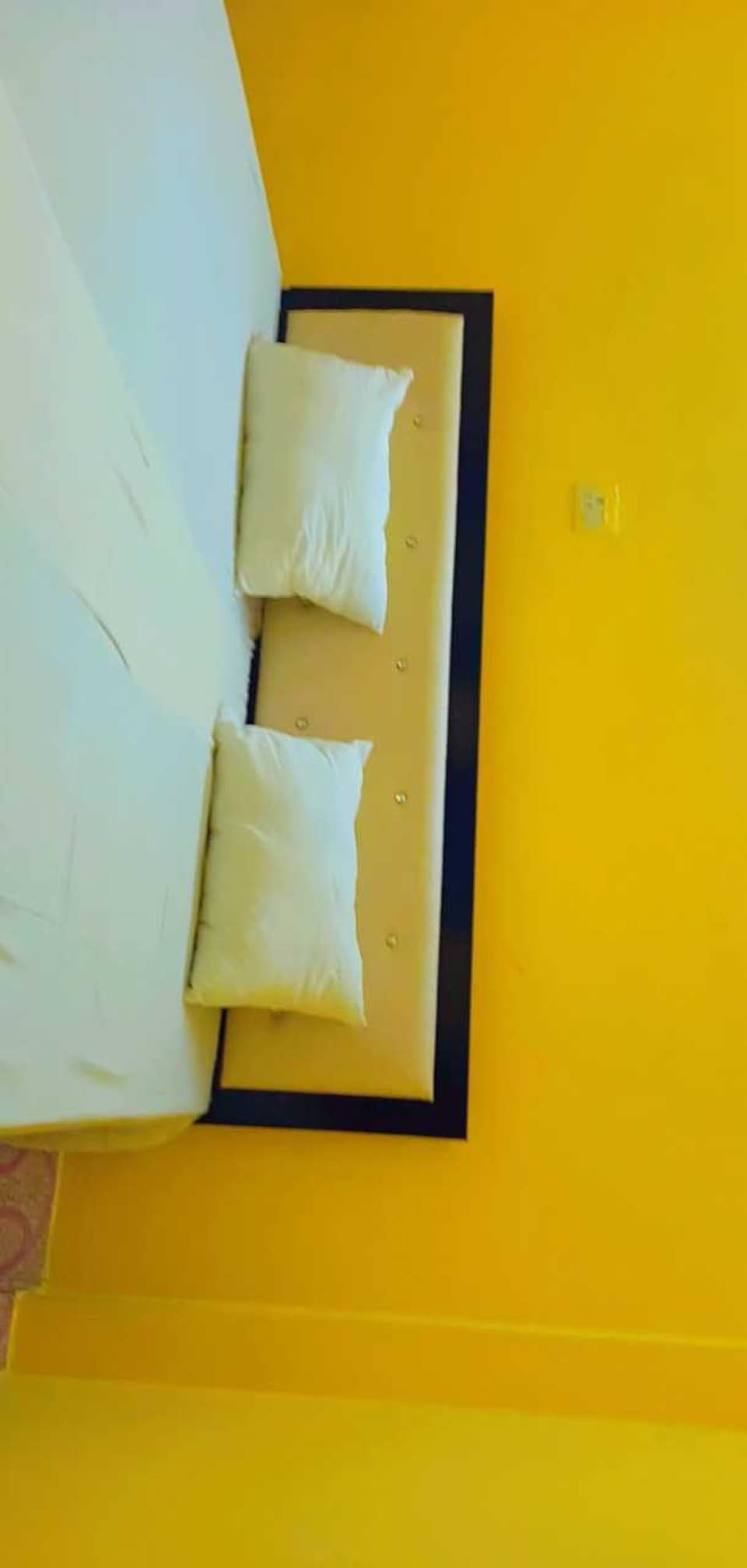 New code live LCK2470, Vikas Nagar Lucknow, Lucknow