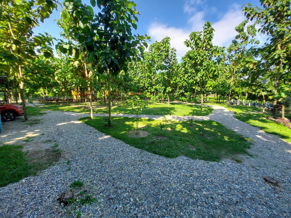 POP Kaljani Retreat, Chilapata, Jaldapara, Alipurduar