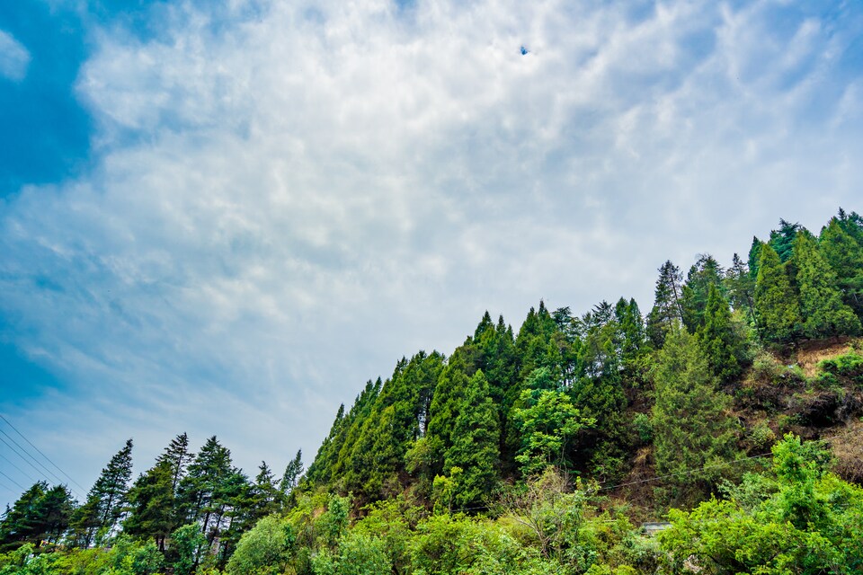 OYO 12395 Home Cozy 1BHK Near Mussoorie Bus Stand, Gandhi Chowk Mussoorie, Mussoorie