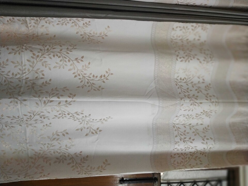 POP Peace@delhi, North Delhi, Delhi