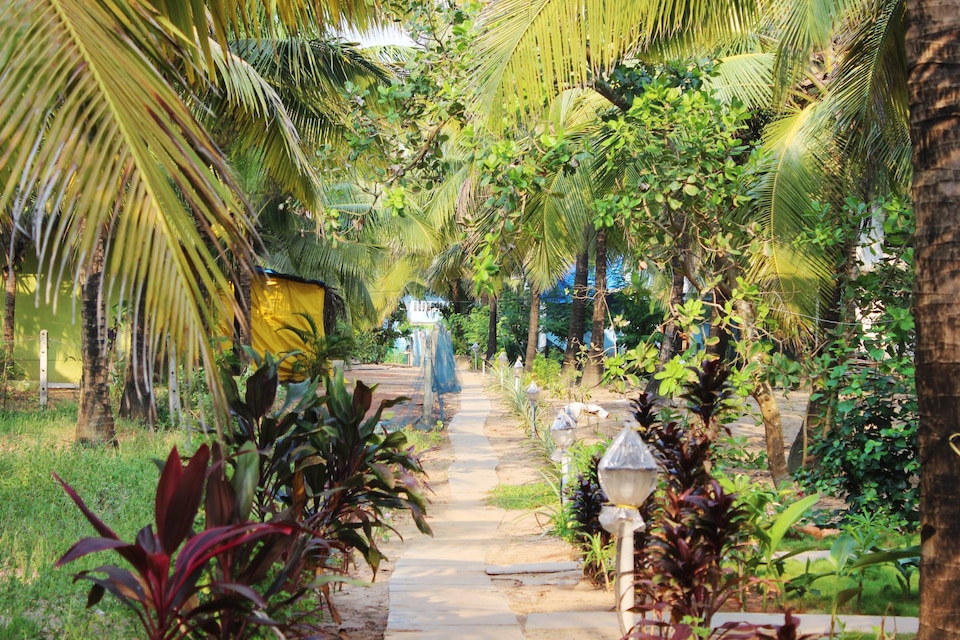 OYO Hotel 1575 Morjim Hermitage, Arambol Goa, Goa