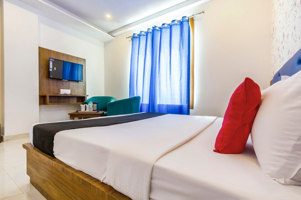 POP 80479B Neem Leaf, Patiala, Patiala