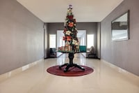 Palette BI Executive