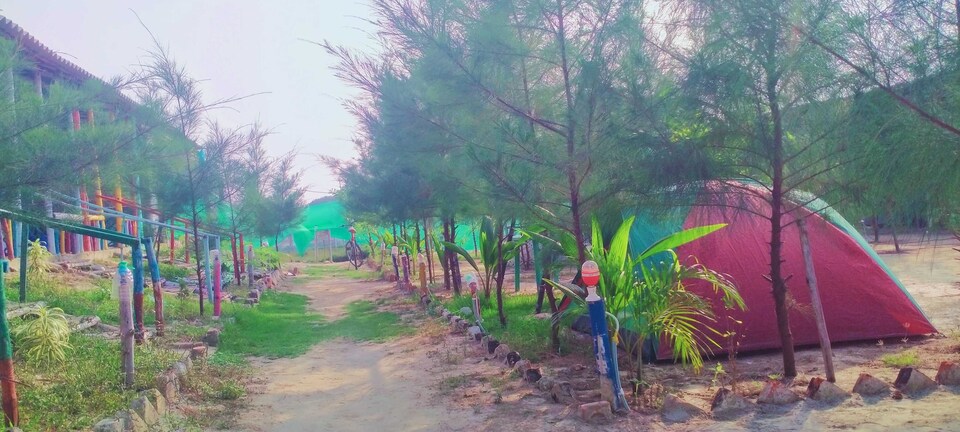POP 80922D Laser Resort , Bakkhali, Bakkhali